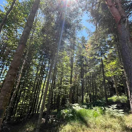 Apartamento Yellow Moon Hills Divčibare