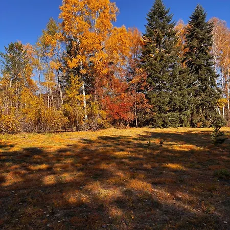 Yellow Moon Hills Apartamento